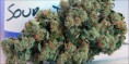 /products/sour-og/